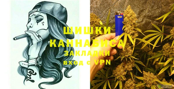 первитин Новозыбков