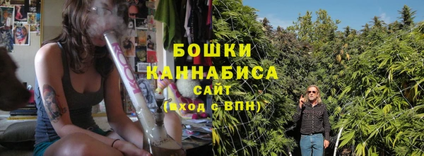 первитин Новозыбков